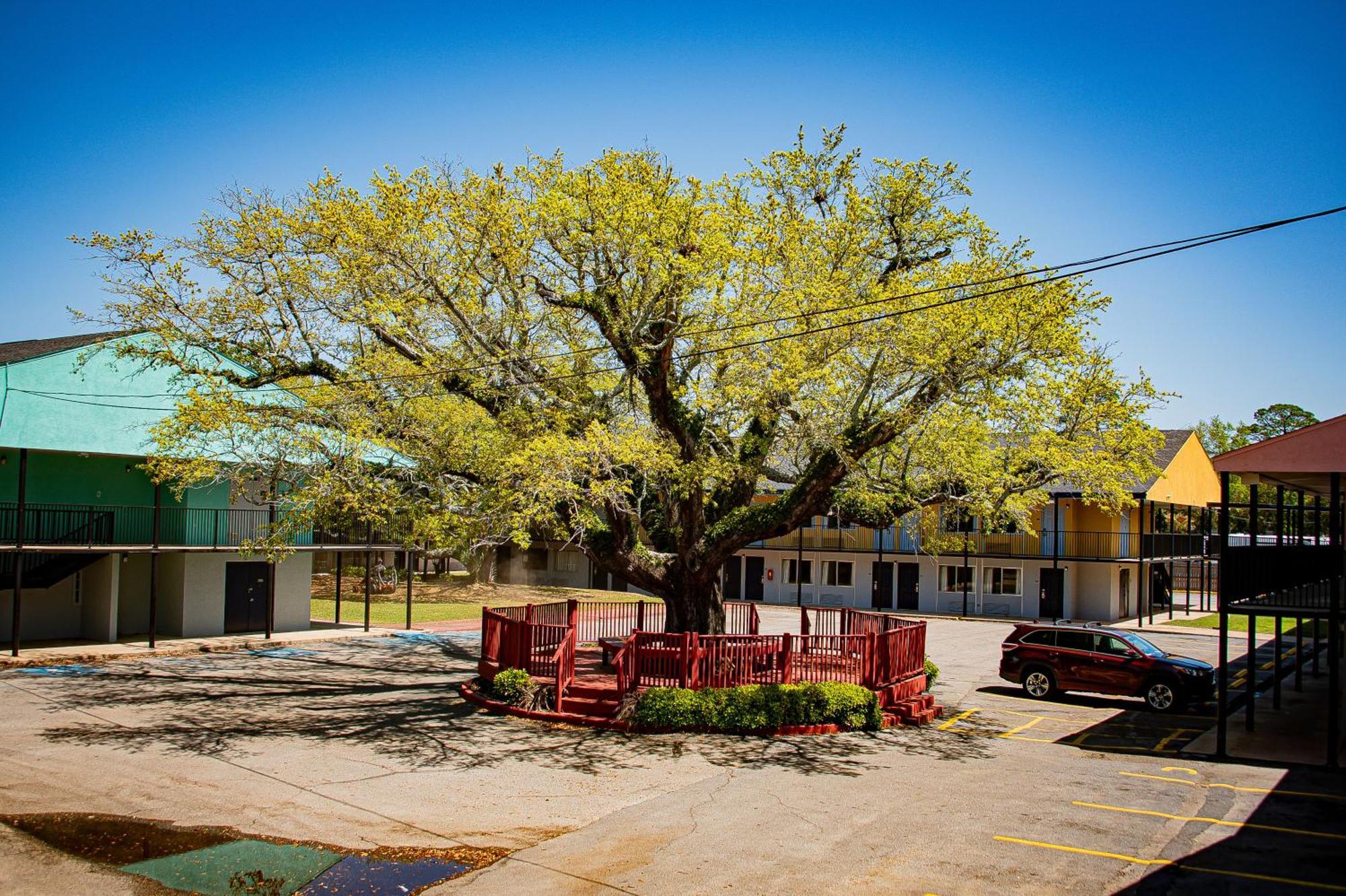 Motel Super 8 By Wyndham Biloxi Exteriér fotografie